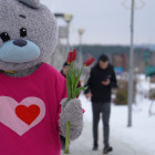 8 Марта по Спутнику прошел медведь с цветами