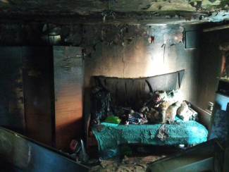 Появились ужасающие фото с места пожара в Каменке Пензенской области