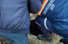 В Пензе спасли от гибели собаку, провалившуюся в глубокий колодец