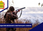 Жителям региона напомнили, как получить разрешение на весеннюю охоту 