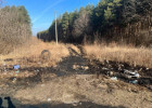 Появились фото с места слива экологически опасных отходов в Пензенской области