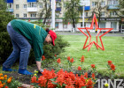 Масштабное озеленение Пензы: в городе появится 2 тысячи новых деревьев и 250 тысяч цветов