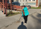 В одном из районов Пензы навели порядок и чистоту