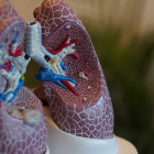 В Пензе начался прямой эфир о скрининге заболеваний органов дыхания