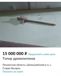В Пензенской области продают топор древопитеков за 15 миллионов рублей 