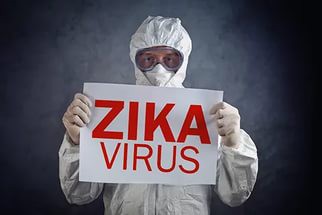 В Россию завезли страшный вирус Зика