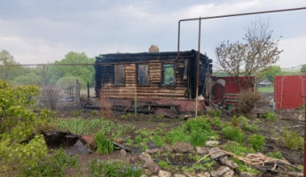 Обнародованы фото с места гибели 74-летнего пенсионера в Пензенской области