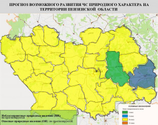 Почти во всех районах Пензенской области ожидается 3 класс пожарной опасности