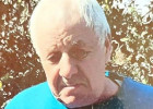 Под Пензой пропал без вести 85-летний пенсионер