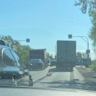 На трассе под Пензой образовалась пробка из-за аварии