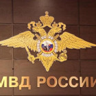 Ирина Волк: Показатель раскрываемости убийств и покушений на убийство в Российской Федерации достиг исторического максимума