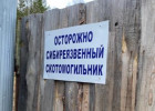 В Пензенской области обустроят три сибиреязвенных скотомогильника за 6 000 000 рублей