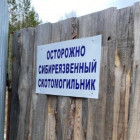 В Пензенской области обустроят три сибиреязвенных скотомогильника за 6 000 000 рублей