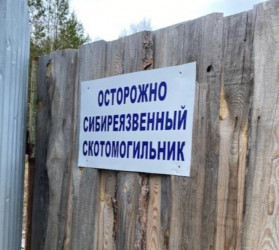 В Пензенской области обустроят три сибиреязвенных скотомогильника за 6 000 000 рублей