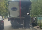 В Пензе свисающее над дорогой дерево спровоцировало ДТП