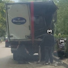 В Пензе свисающее над дорогой дерево спровоцировало ДТП