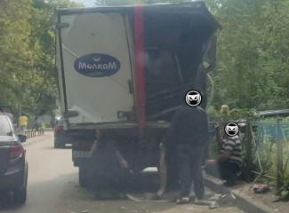 В Пензе свисающее над дорогой дерево спровоцировало ДТП