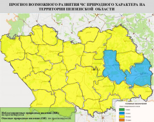 Третий класс пожарной опасности ожидается в большинстве районов Пензенской области