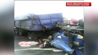 Появилась информация о пострадавших в ДТП под Ульяновском