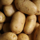 В Пензенской области безработному мужчине грозит 5 лет колонии за два ведра картошки