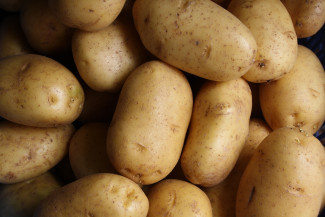 В Пензенской области безработному мужчине грозит 5 лет колонии за два ведра картошки