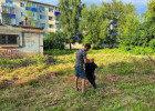 Ленинский район Пензы очистили от мусора и грязи