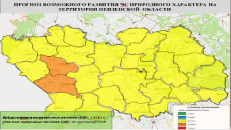 В 2 районах Пензенской области ожидается четвертый класс пожарной опасности