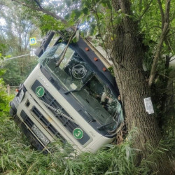 Жуткое ДТП под Пензой: фура вылетела с трассы и перевернулась