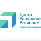 В ЦУР Пензенской области за неделю поступило почти 1000 обращений от жителей