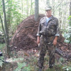 В лесу в Пензенской области обнаружили гигантский муравейник