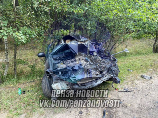 Жуткое ДТП в Сердобском районе: легковушку изуродовало до неузнаваемости