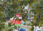 На улице Мира в Пензе сбили пешехода