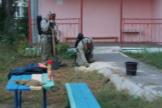 В Пензе от нашествия ос спасли воспитанников детского сада
