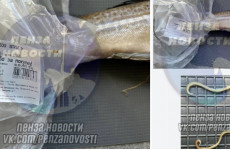Жительница Пензы обнаружила отвратительную находку в купленной рыбе