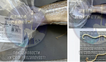 Жительница Пензы обнаружила отвратительную находку в купленной рыбе