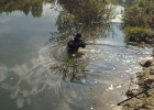 Под Пензой из водоема вытащили труп мужчины