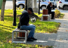В центре Пензы заметили мужчину, справляющего нужду прямо на лавочке