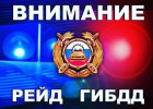 На территории Пензы и области начались массовые проверки водителей