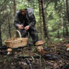 Пензенские волонтеры помогли найти заблудившегося в лесу инвалида