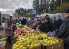 Жителей Заречного приглашают на ярмарки выходного дня