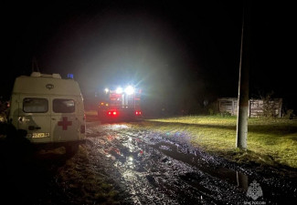 В Пензенской области при пожаре погибла женщина