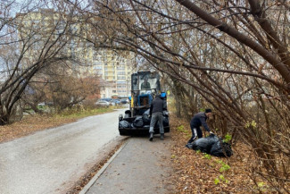 В Пензе с улицы Ухтомского вывезли более 20 кубометров мусора