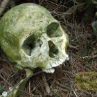 В Пензенской области грибники наткнулись на человеческий скелет 